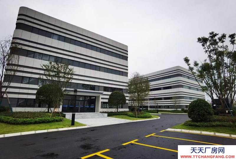 汽車城板塊，覆蓋中和新川