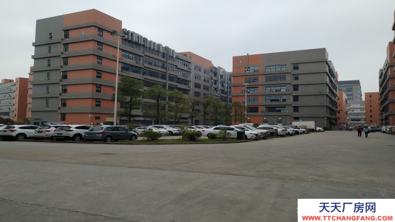 東莞市望牛墩４００００平方漂染洗水廠房出租