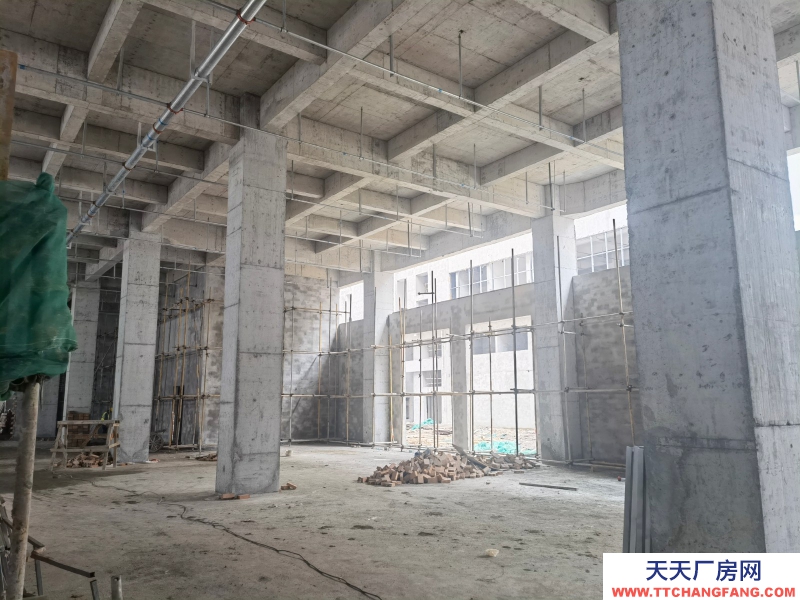 政府園區(qū)招租，可享受稅收減免及房屋租金補貼