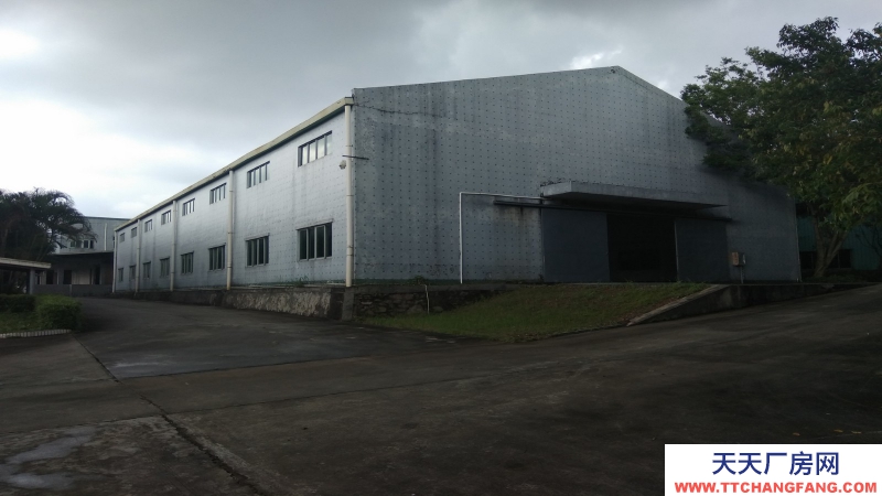 東莞市樟木頭鎮百果洞１６８００平方米倉庫出租