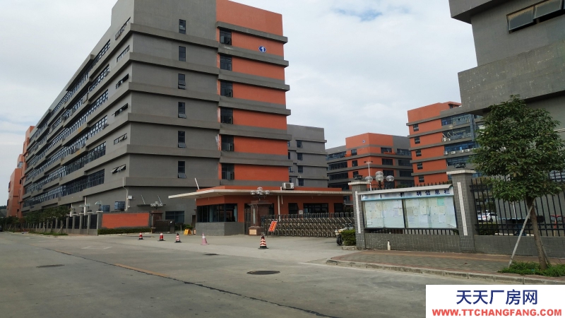 東莞市鳳崗鎮(zhèn)１８０００平方米現(xiàn)成冷凍倉庫出租