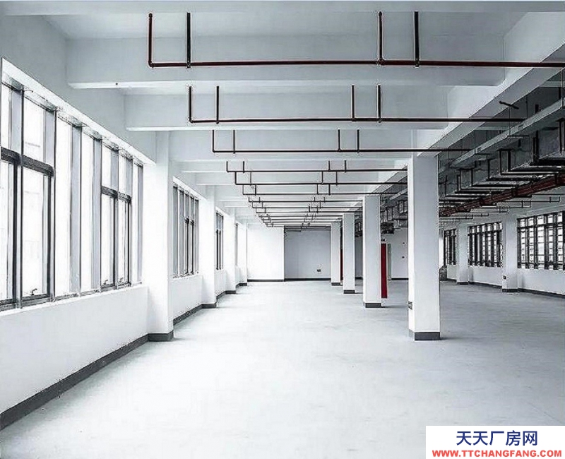 出售杭州全新1000方廠房，只售3000多，高速輕軌環(huán)繞，生活配套齊全