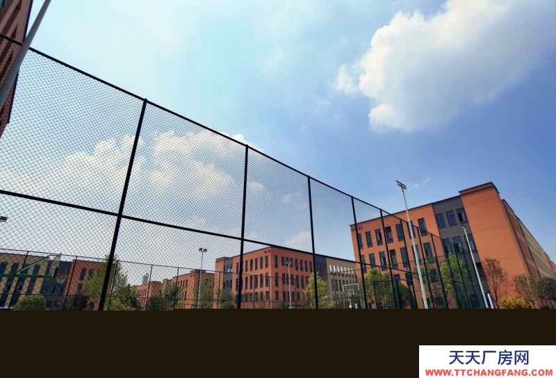 青白江高速口50年可分割產(chǎn)權(quán)廠房出售首付兩成按揭十年