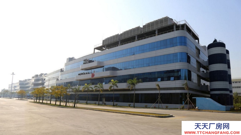 廣東省東莞市塘廈鎮２６０００平方高臺倉庫出租