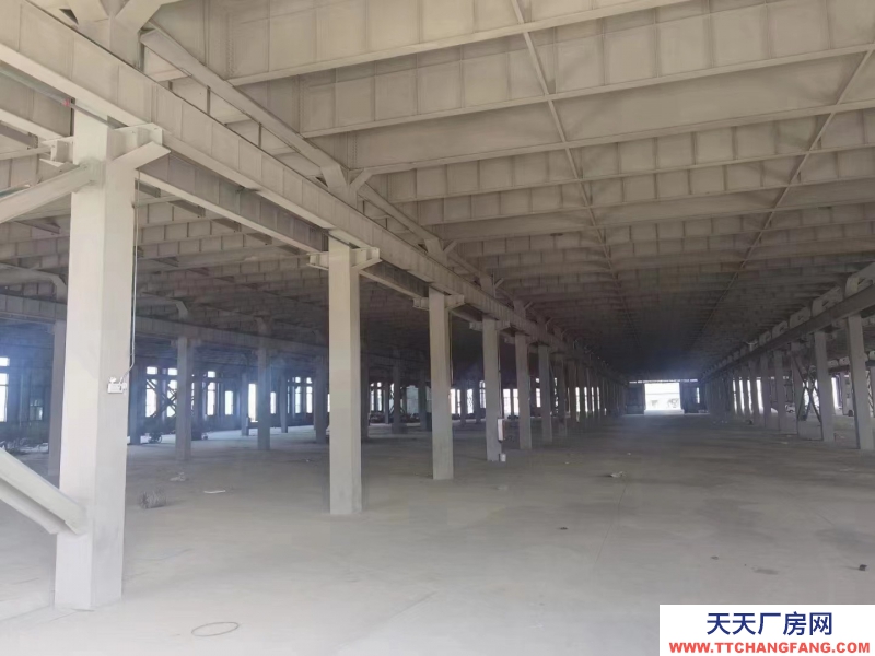 青白江工業廠房辦公樓可分租（無中介）