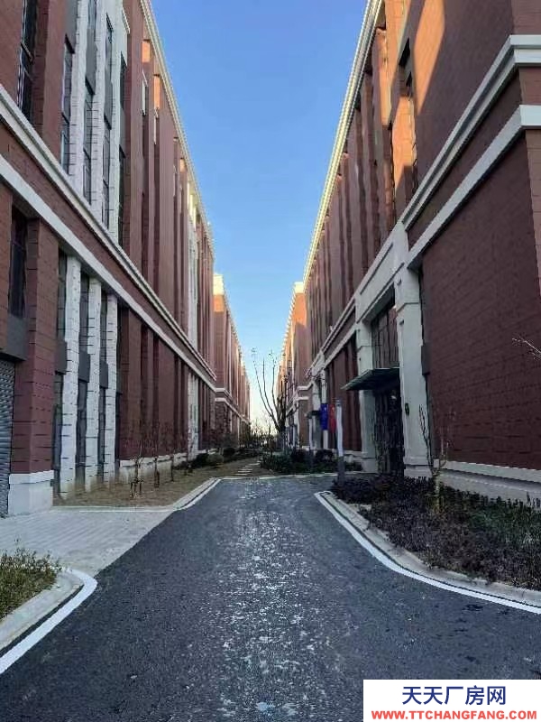 國土廠房 12米層高 獨立產權 大車可進