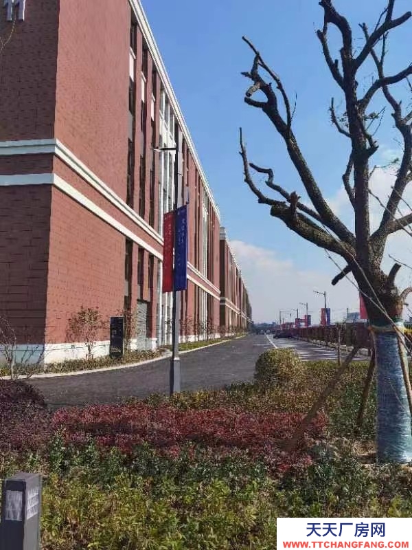 國土廠房 12米層高 獨立產權 大車可進