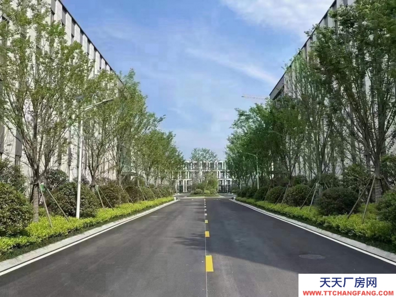 溫江金馬 50年產權園區 獨棟框架廠房 1300起售首付2成 低利息