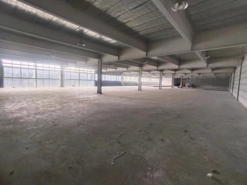 龍泉區多層數鋼結構廠房 水電氣全通 帶貨梯 衛生間