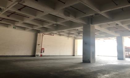 萬國豐樹外高橋數據中心二期項目出租