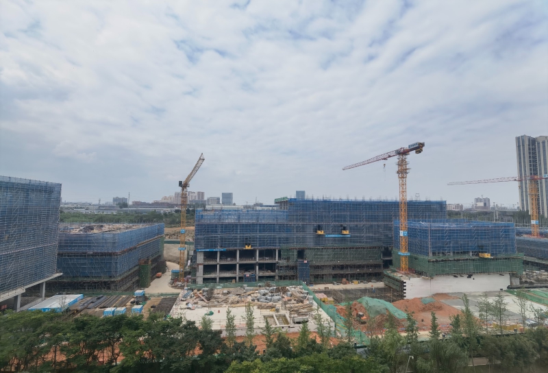 新園區(qū)，獨棟開發(fā)商直租，50年工業(yè)產(chǎn)權(quán)可以辦理全資質(zhì)，可建立實驗室