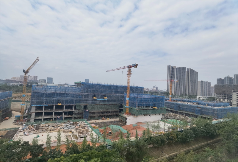 新園區(qū)，獨棟開發(fā)商直租，50年工業(yè)產(chǎn)權(quán)可以辦理全資質(zhì)，可建立實驗室