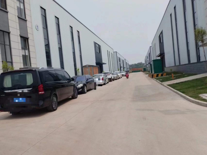 縱港智造城，開發商直招，無中介，全新現廠房，各類生活配套設施完善，有紅本