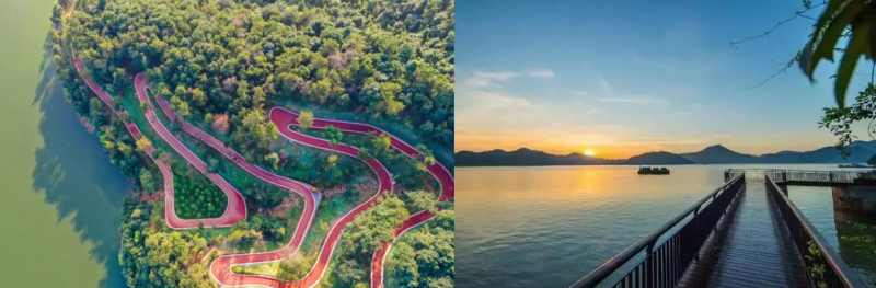 廠房出售！就在青山湖科技城，性價比高！