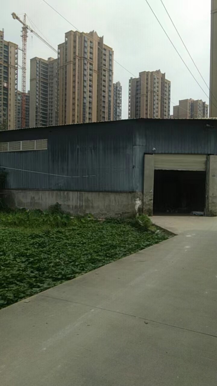 新都龍橋渭水，1600平廠房房東直租