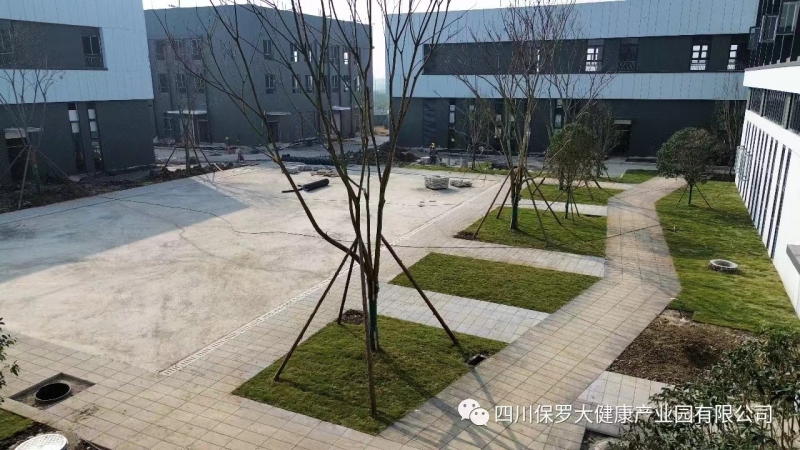 成都（德陽）食品醫藥框架廠房