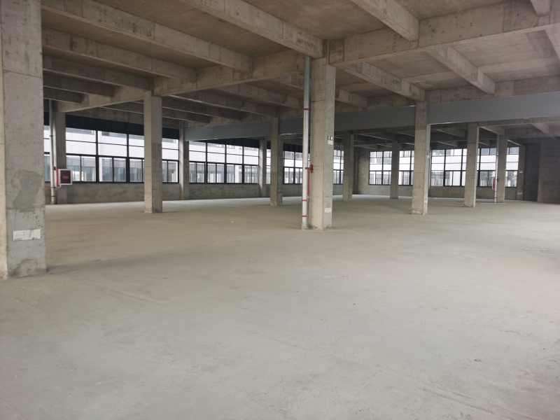 獨(dú)門獨(dú)院廠房出售 交通便捷 超大院子贈(zèng)送 停車卸貨無憂