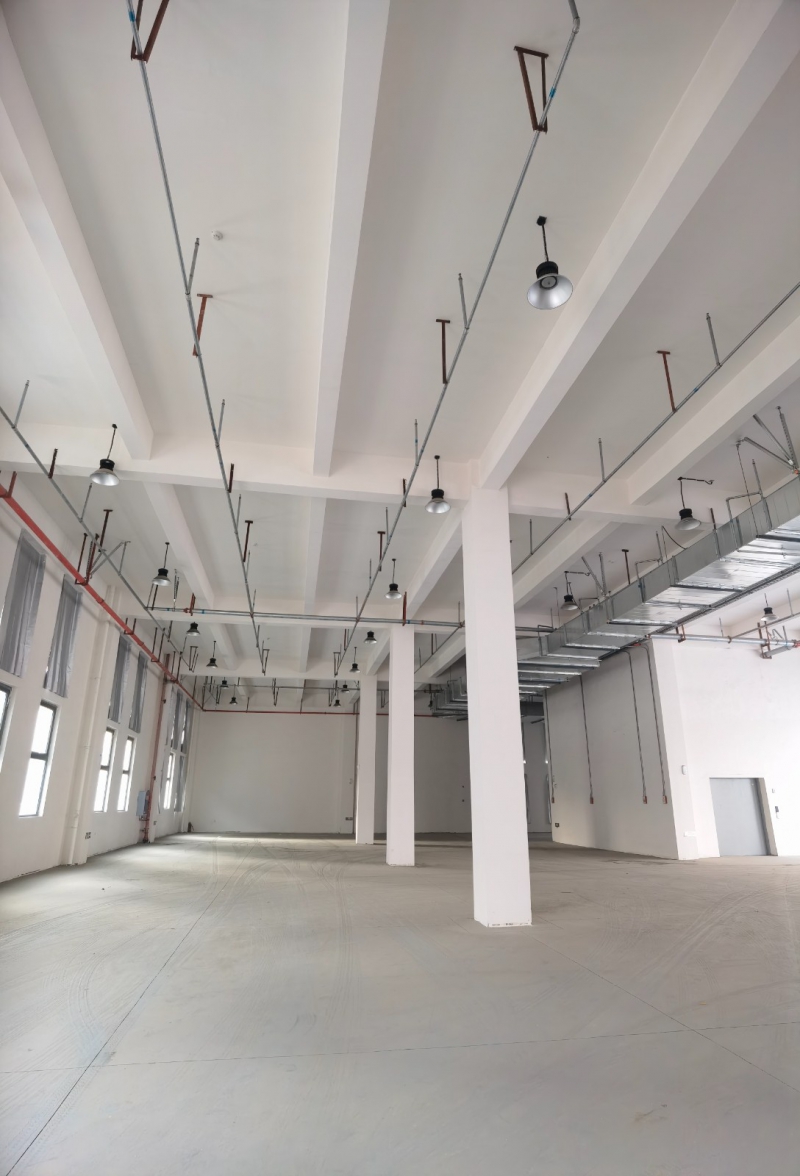 青白江智慧大道旁獨棟/單層廠房