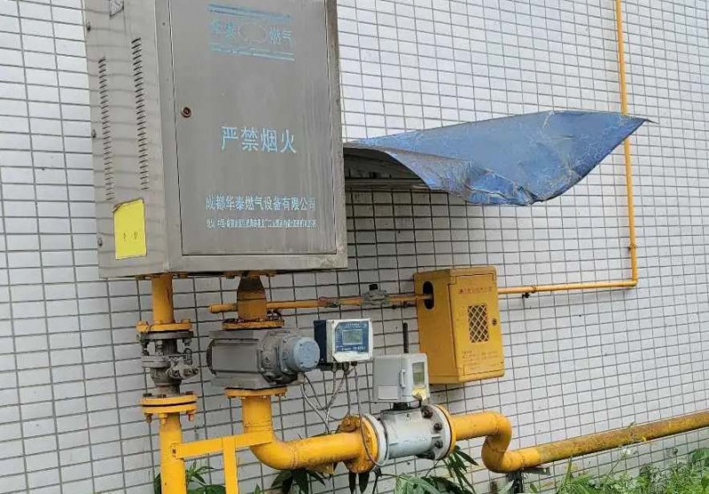 (出租) 出租蒲江標準廠房 通蒸汽水電氣，有環評，可整租可分租，可開票