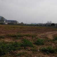 惠州市仲愷區瀝林鎮21084平方紅本工業地皮出售