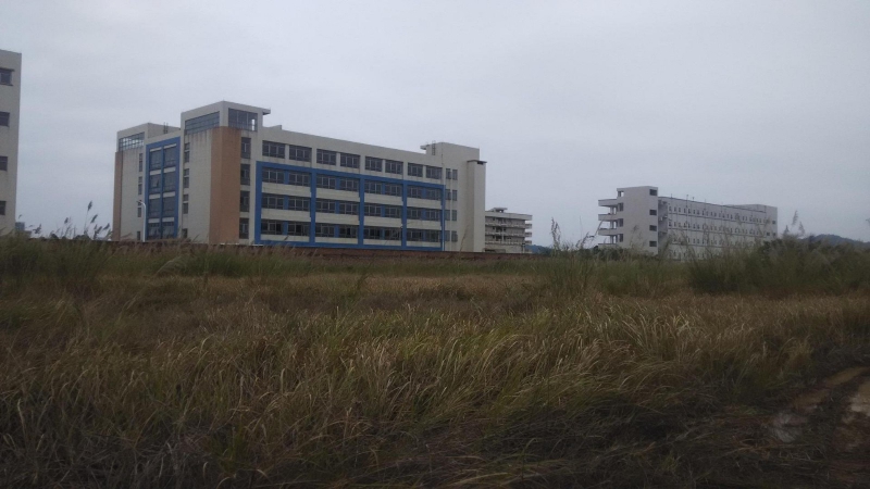 東莞市橋頭鎮92000平方米工業用地出售