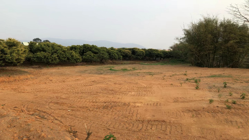 惠州市博羅縣龍華鎮15000平方紅本工業地皮出租