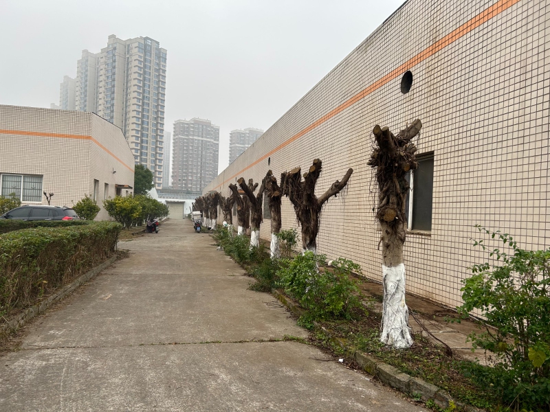 標(biāo)準(zhǔn)鋼結(jié)構(gòu)和磚混廠房（或庫(kù)房）出租