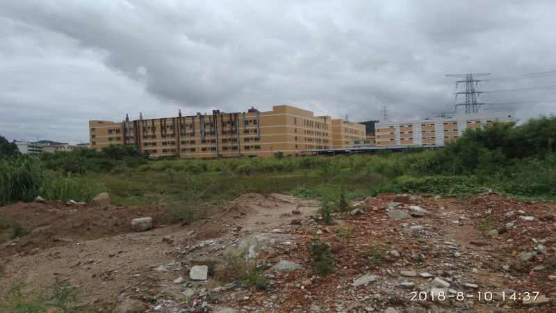 佛山市小欖鎮(zhèn)12000平方單層雙月臺(tái)倉(cāng)庫(kù)出租