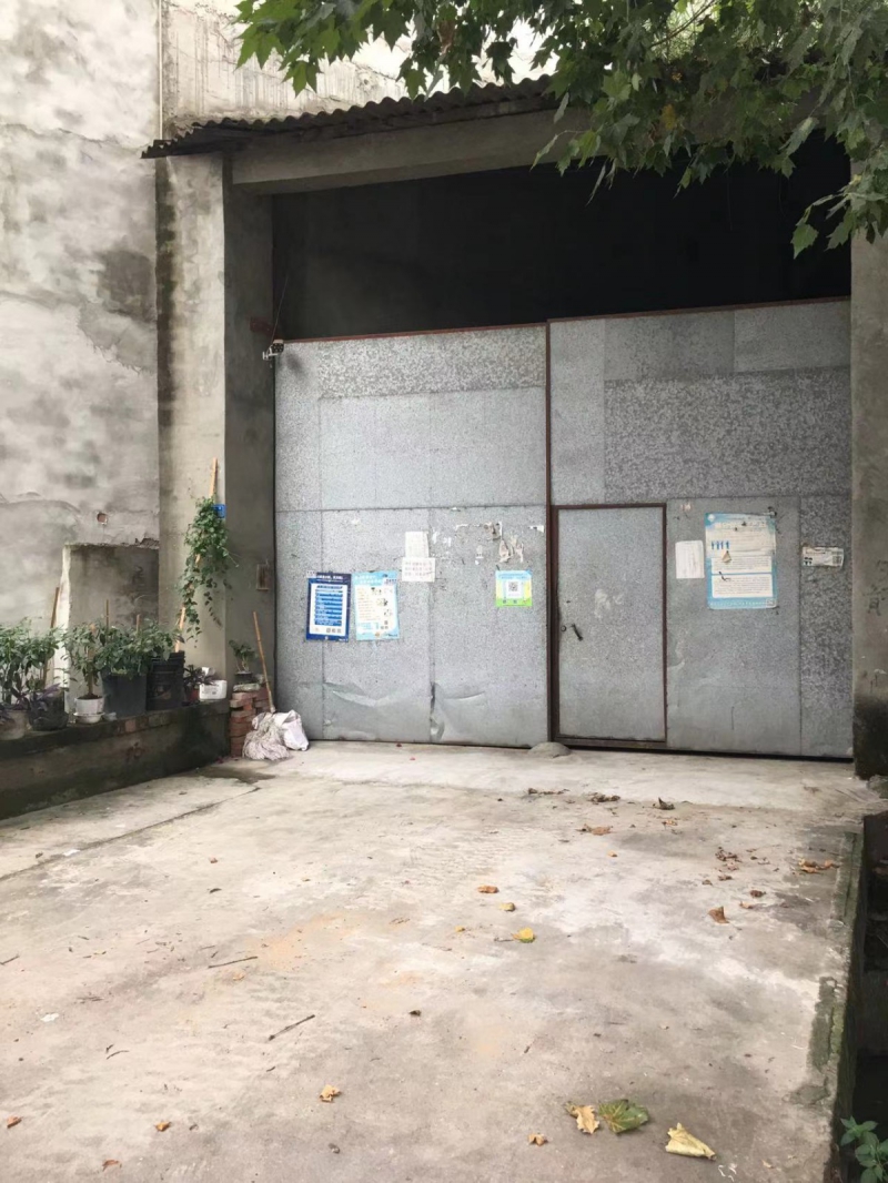 1000平方，帶動力電，公路旁