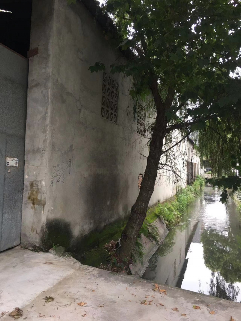 1000平方，帶動力電，公路旁