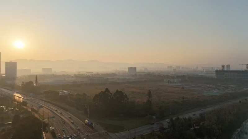 成都經(jīng)開區(qū) 2000㎡標(biāo)準(zhǔn)廠房出售 獨門獨院戶型獨立產(chǎn)權(quán) 臨地鐵高鐵