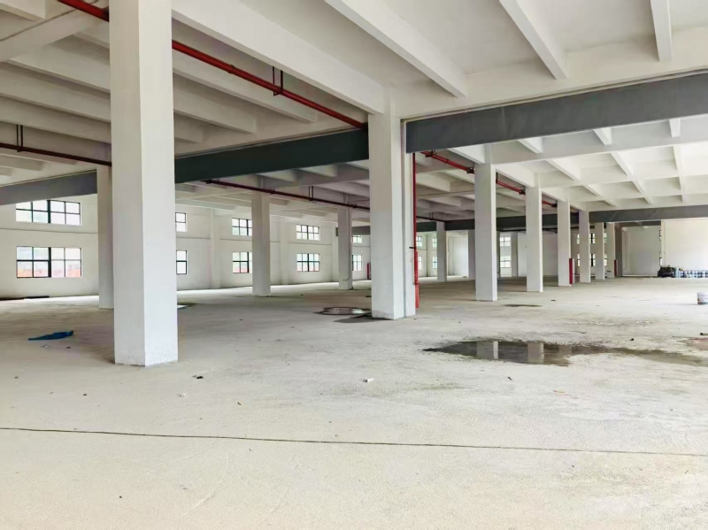 【鶴山優質工業廠房招租】珠三角樞紐·分層高標空間·靈活租賃·適配多行業