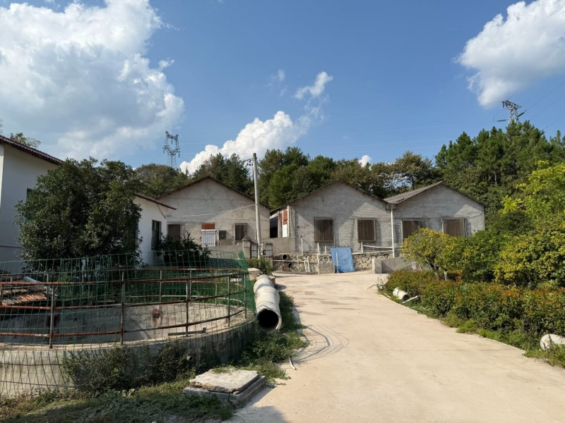 杭州建德市 20畝 生態養殖基地 7豬舍 全配套環評設施【面議】