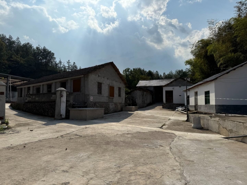 杭州建德市 20畝 生態養殖基地 7豬舍 全配套環評設施【面議】